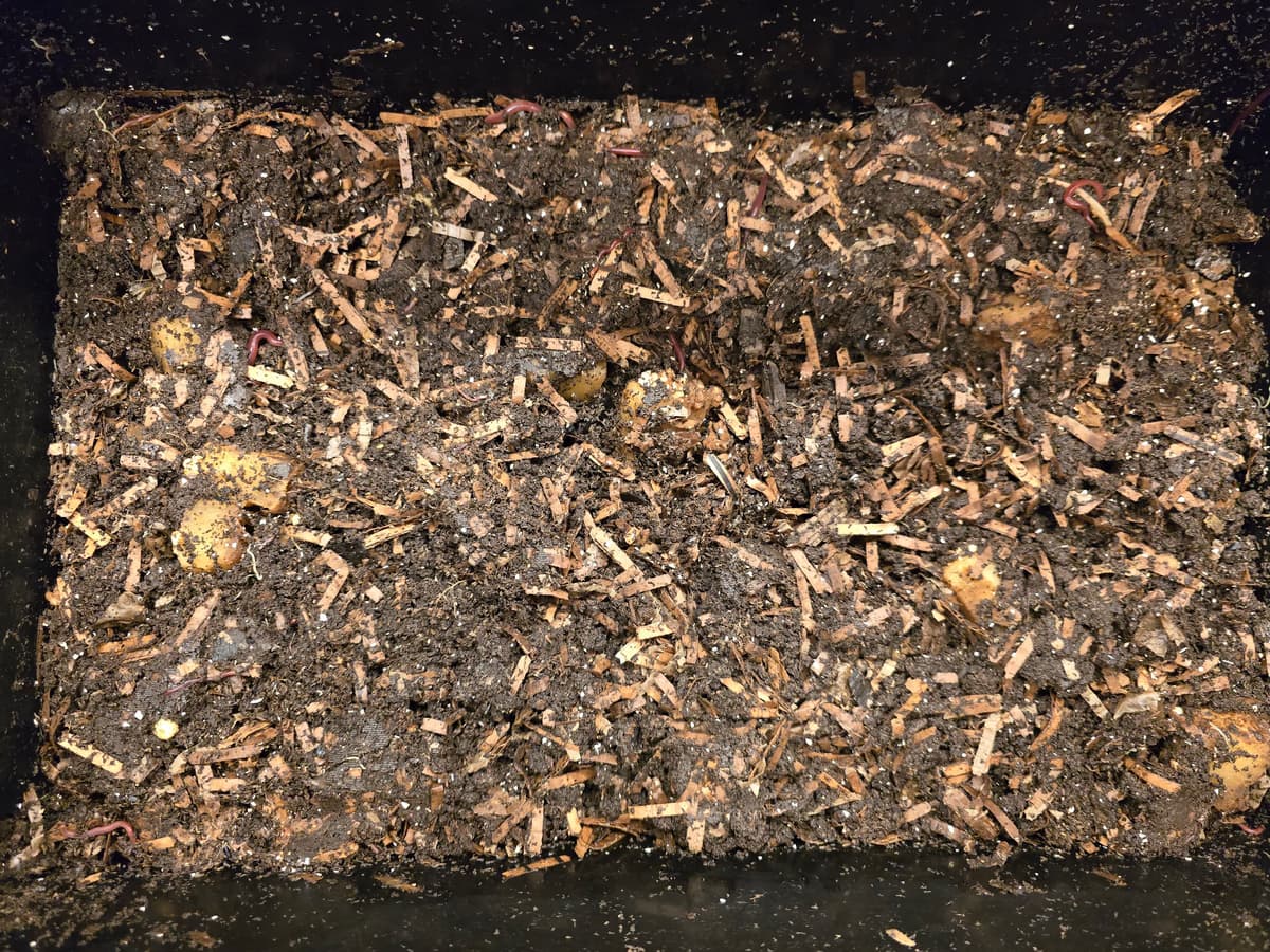 Matokompostorin keskikerros