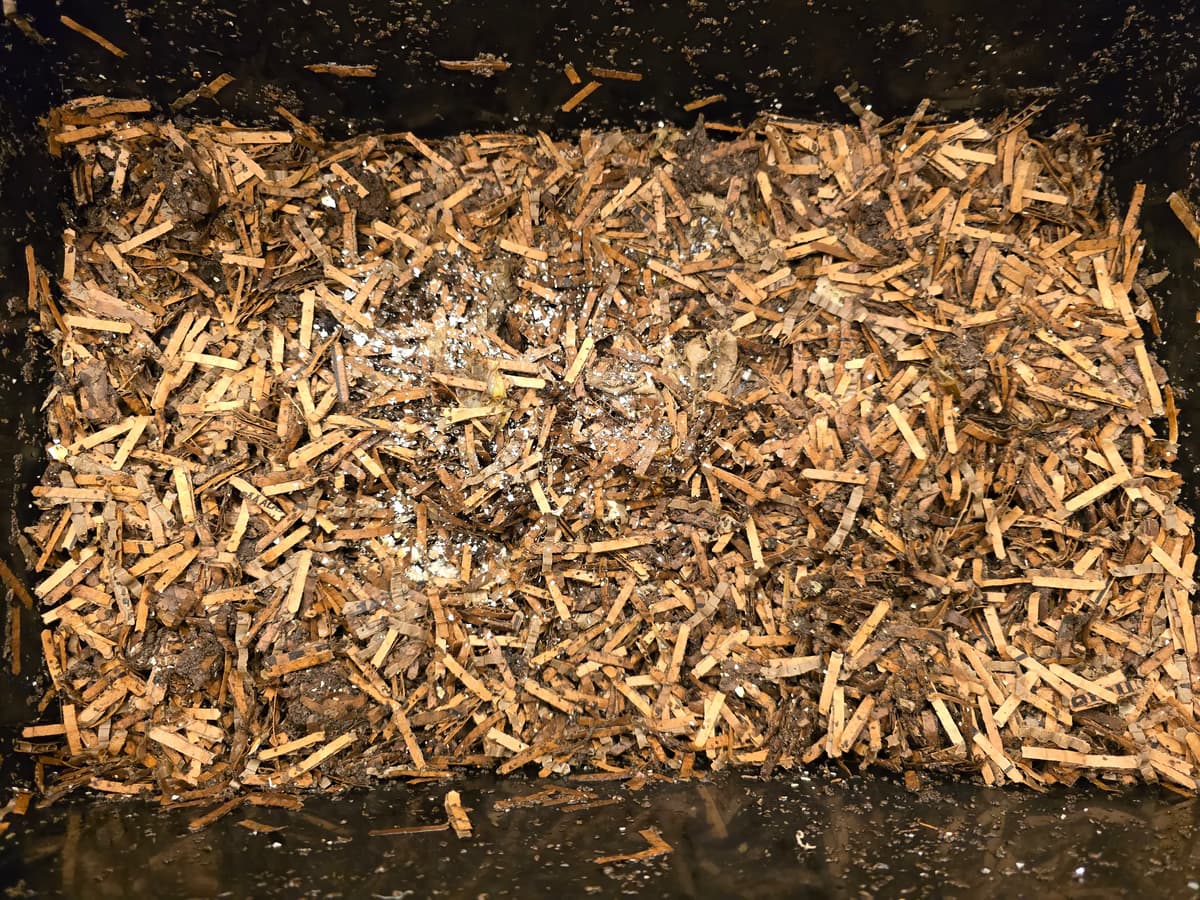 Matokompostorin yläkerros