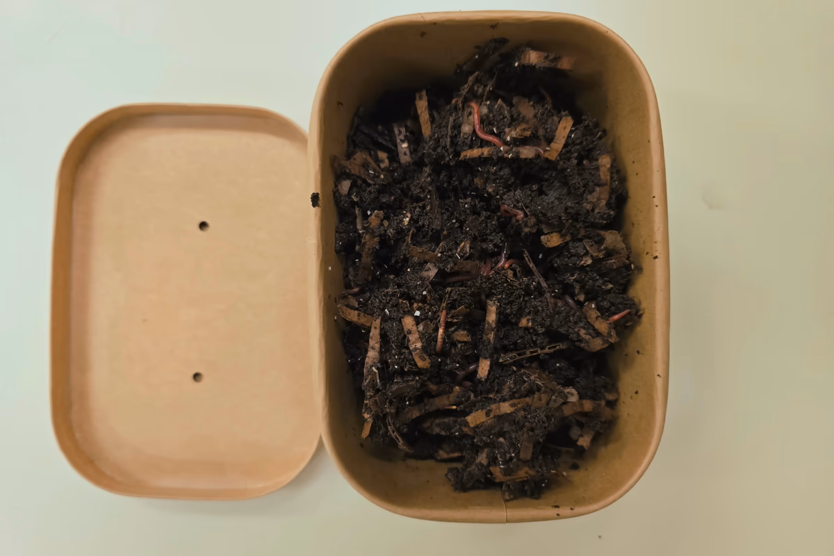 Kompostimadot toimituspakkauksessa